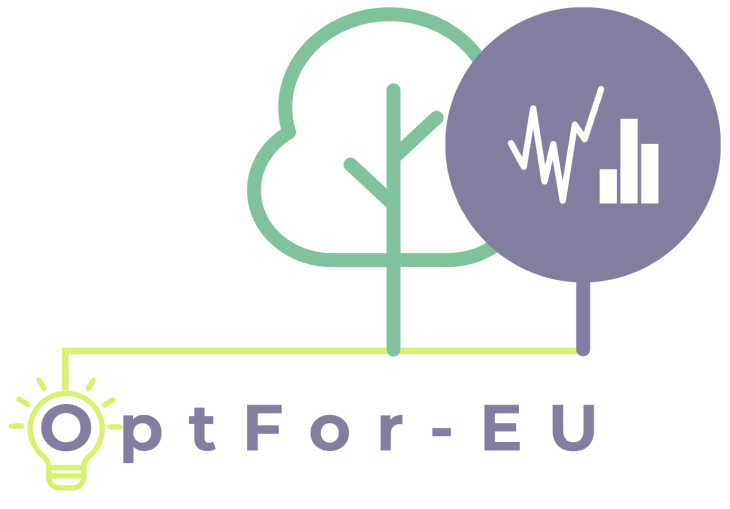 OptFor_EU Logo_IEECP